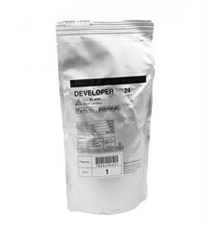 Type24 Developer (Ja
